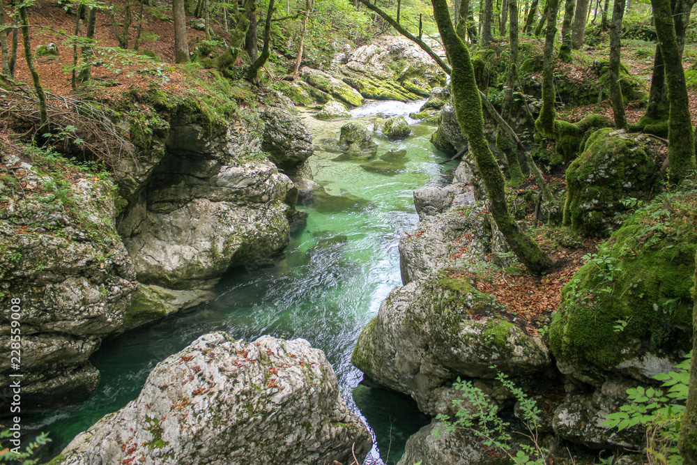 Beautiful Mostnica river surrounded with forest - national park Triglav in Slovenia. Beautiful Mostnica river surrounded with forest - national park Triglav in Slovenia.