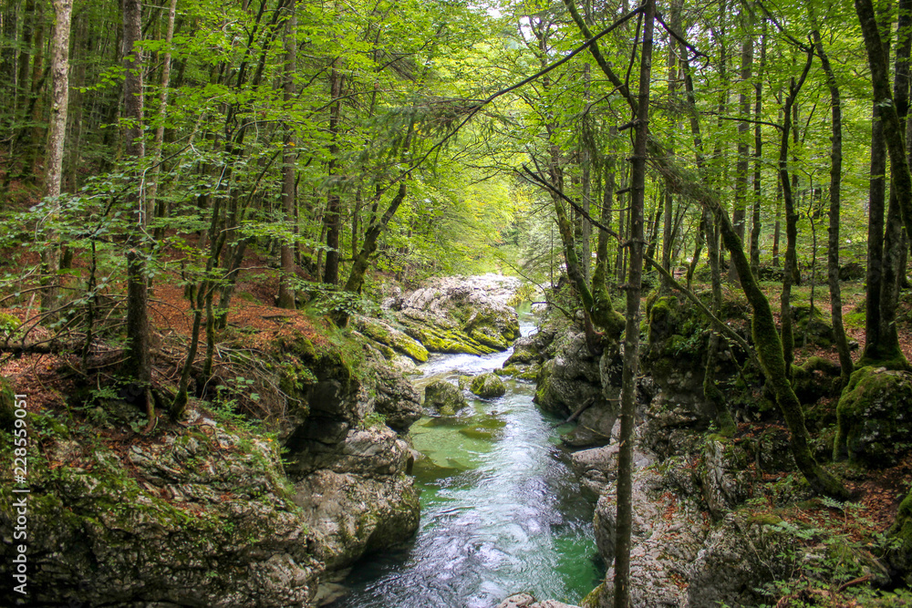 Beautiful Mostnica river surrounded with forest - national park Triglav in Slovenia. Beautiful Mostnica river surrounded with forest - national park Triglav in Slovenia.