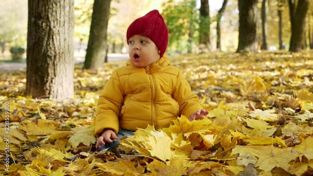 happy little boy playing in Park in autumn in orange leaves happy little boy playing in Park in autumn in orange leaves