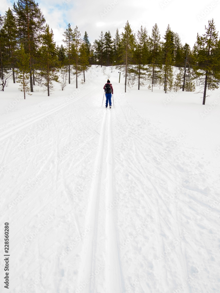 woman cross country skiing in winter snowy landscape