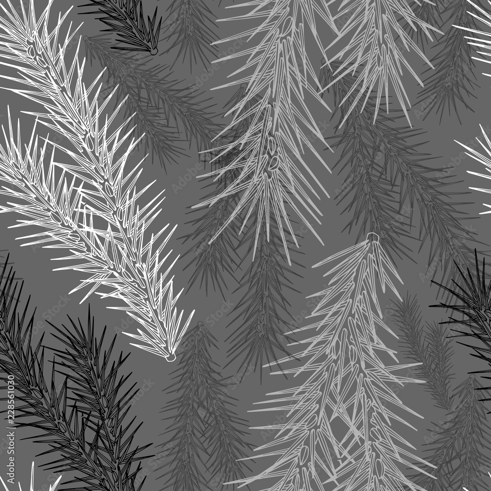 fir branch. isolate, vector, hand drawing. pattern