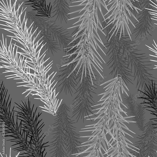 fir branch. isolate, vector, hand drawing. pattern