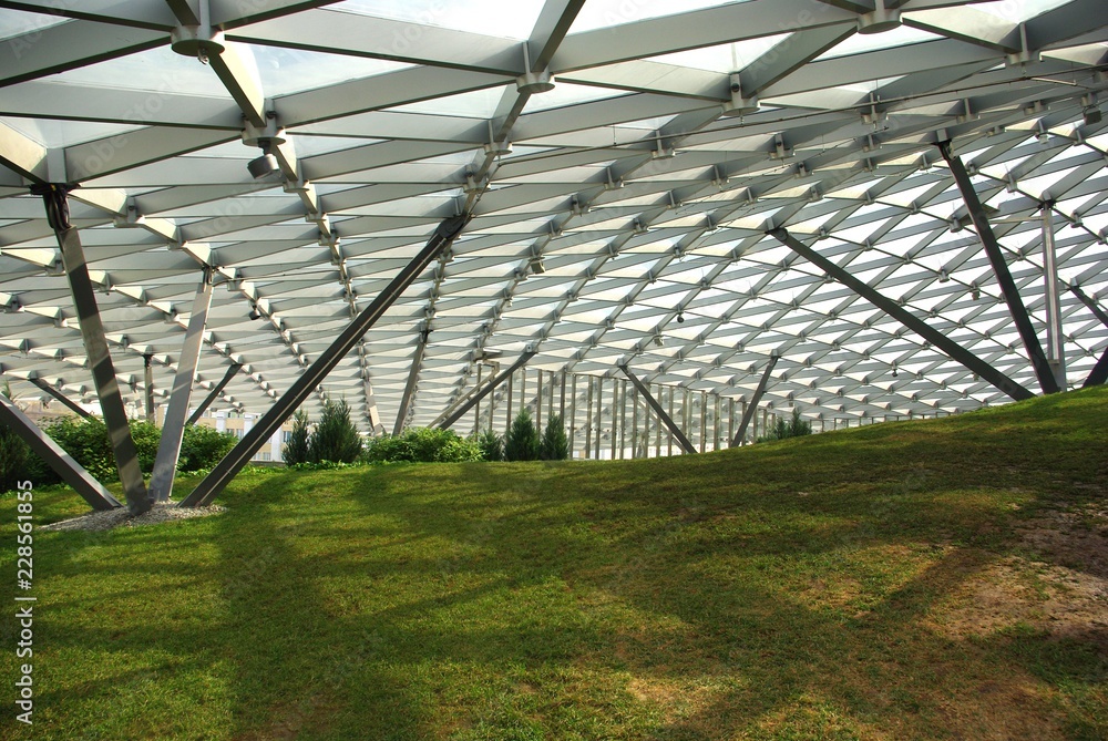 Fototapeta premium greenhouse with green plants