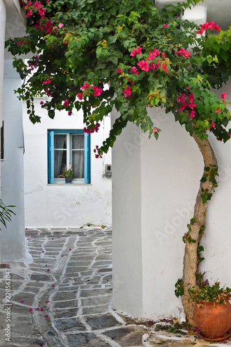 Ile grecque, petite rue typique avec bougainvillier