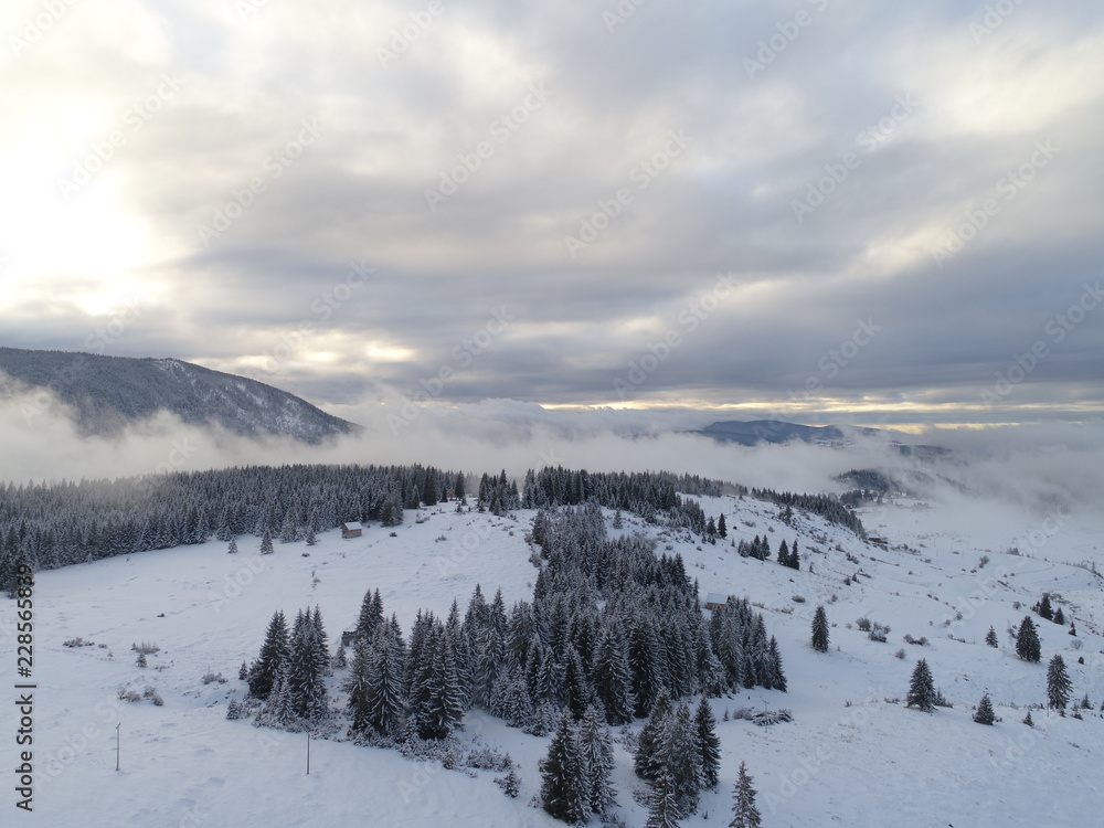 aerial view of fresh snow covered winter forest in high mountains in sunset on christmas eve