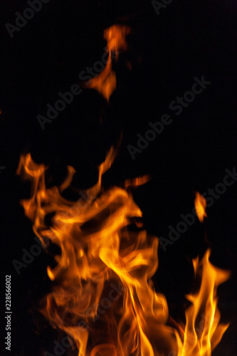 Fire, flames on a black background. © AKlion