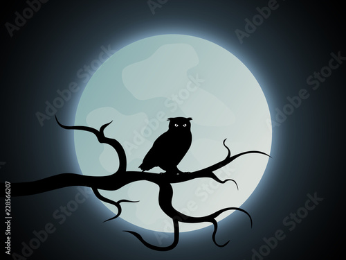 Halloween Eule Hintergrund