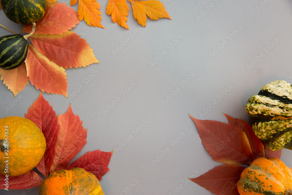 Autumn composition. Pumpkins, leaves on pastel gray background. Autumn, fall, halloween concept. Flat lay, top view, copy space