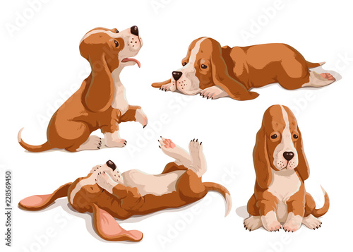 Vector set of color hand drawn basset hounds. Cute puppies isolated on white background. Funny animal characters