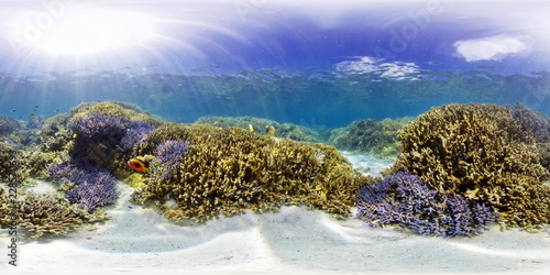 Underwater Coral Reef Ilot Mbo, Naia, New Caledonia photo