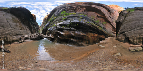 Virgin Narrows, Zion National Park, Springdale, Utah, United States photo