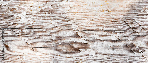 Wood texture. Abstract background