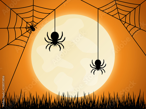 Halloween Spinne Hintergrund