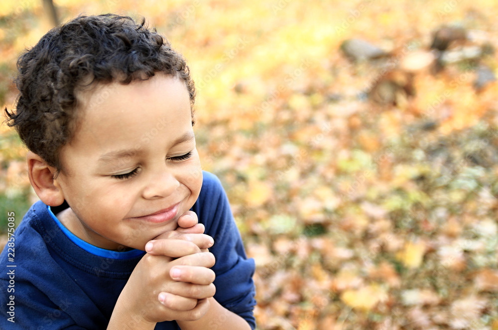little boy praying little boy praying