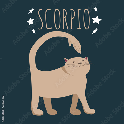 Fototapeta Zodiac sign scorpio; cat cartoon character stylized as zodiac scorpio; vector il