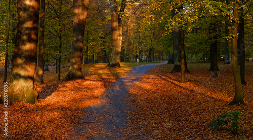 Autumn in a Park