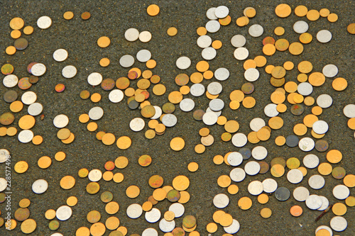Ukrainian coins scattered on floor. Metallic money white and yellow. Small coin