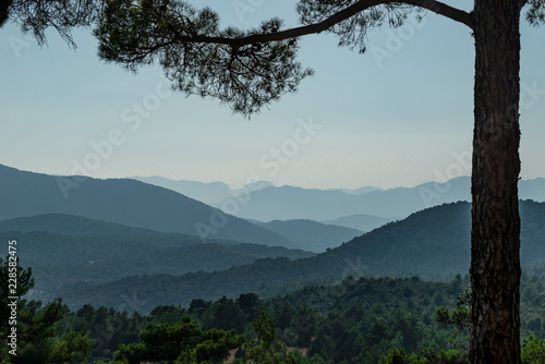 mountain range  forests and spectacular landscapes