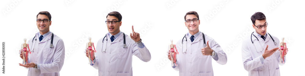 Yong male doctor with skeleton isolated on white Yong male doctor with skeleton isolated on white