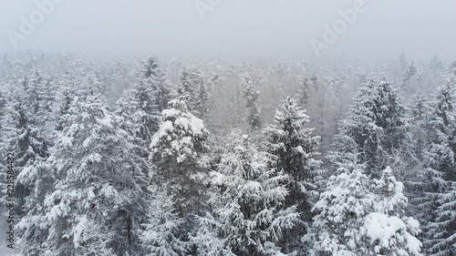 AERIAL: Flying over snow covered forest while a whiteout rages in the mountains.