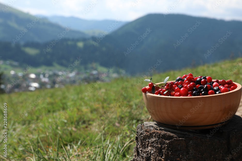 Bowl of fresh ripe berries on stump in mountains Bowl of fresh ripe berries on stump in mountains