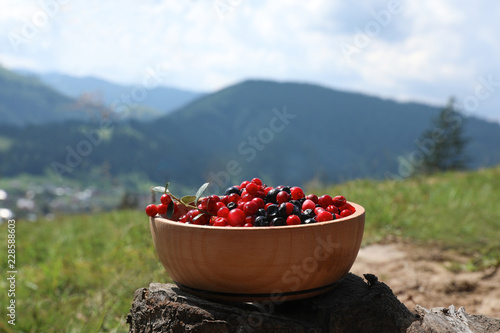 Bowl of fresh ripe berries on stump in mountains