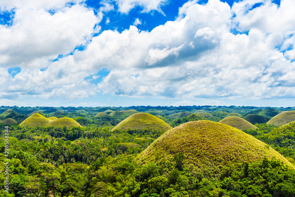 Obraz premium View of the Chocolate hills on sunny day on Bohol island, Philippines.