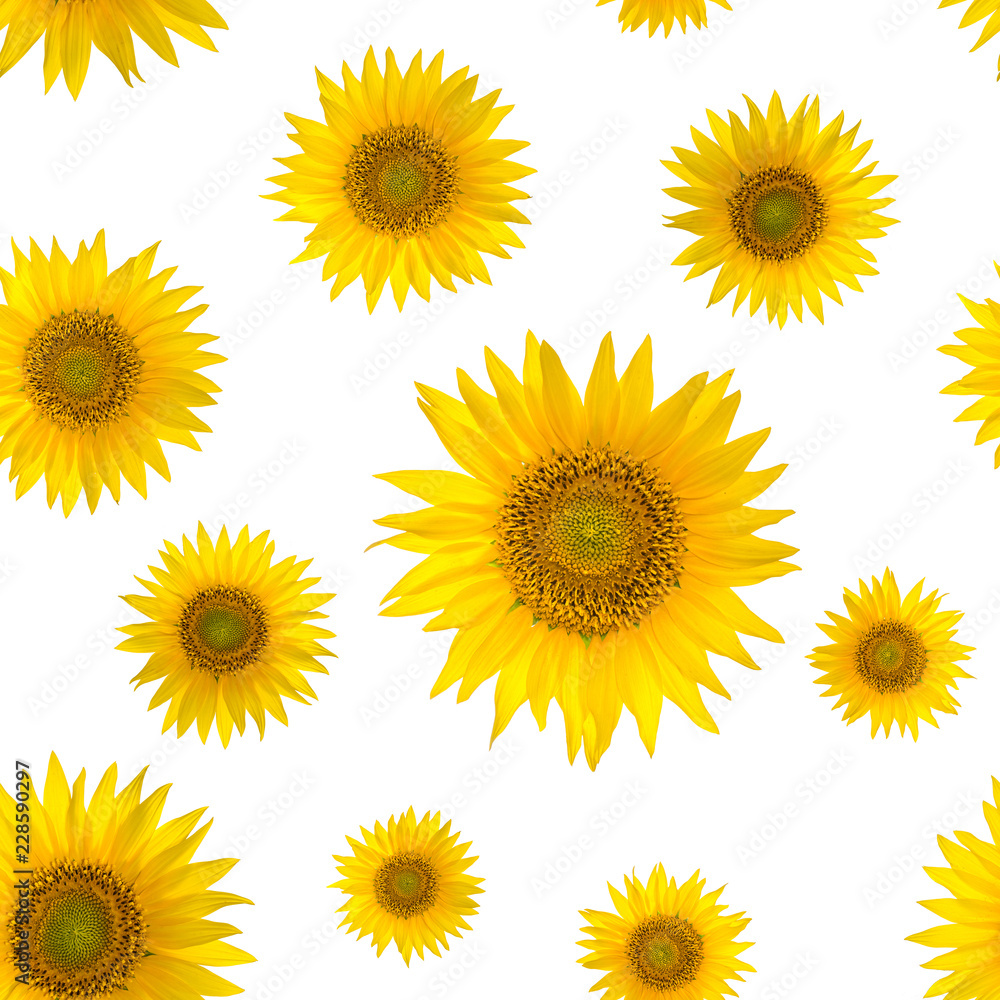 Seamless pattern with big bright sunflowers on yellow background Seamless pattern with big bright sunflowers on yellow background