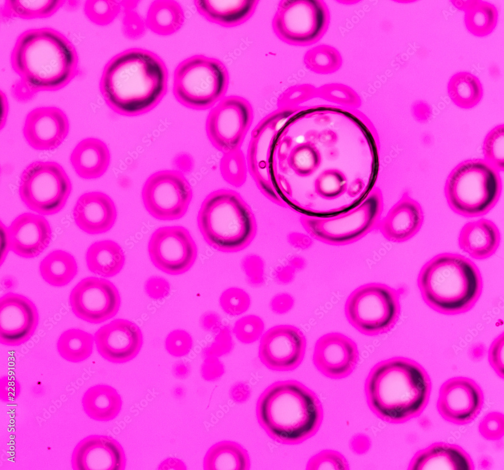 purple bubbles in water close-up abstract background purple bubbles in water close-up abstract background