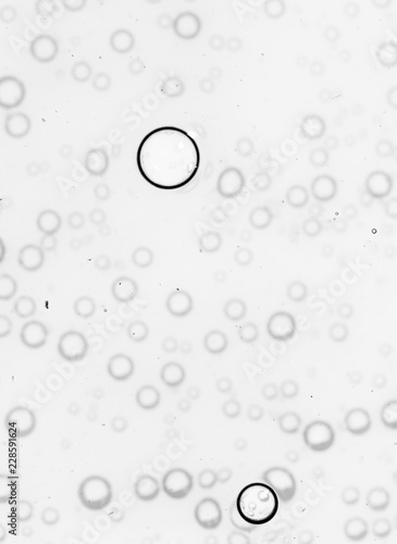 bubbles in water close-up black-and-white background