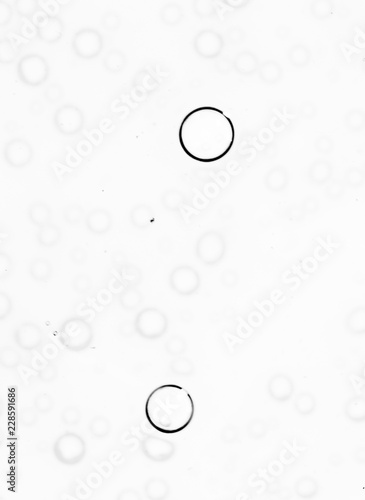 bubbles in water close-up black-and-white background