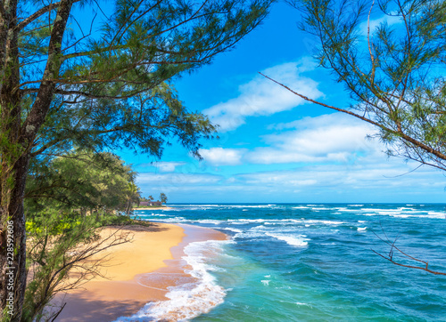 Fototapeta Naklejka Na Ścianę i Meble -  View of the sandy beach, Kauai, Hawaii, USA. Copy space for text.