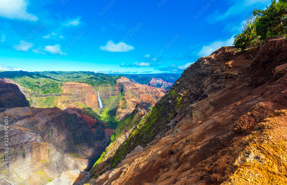 Fototapeta premium Amazing Waimea canyon in Kauai, Hawaii islands, USA. Copy space for text.
