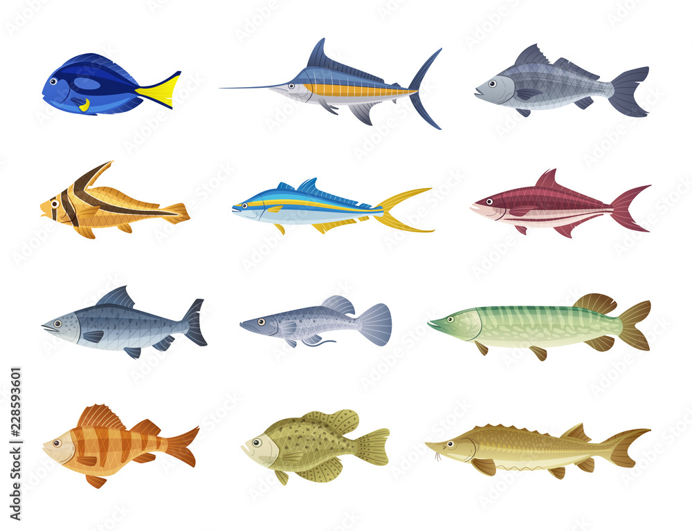 Fish characters. Cartoon vector illustration Fish characters. Cartoon vector illustration