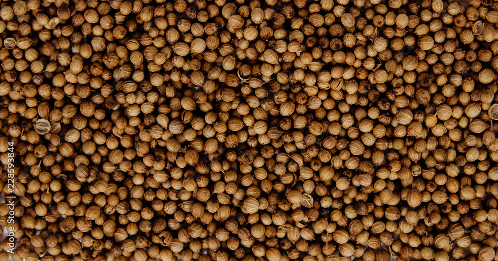 Dried coriander seeds. Coriander spilled on a white background. The concept of using herbs and spices for dishes. Strong taste of dishes. Improving the taste. Dried coriander seeds. Coriander spilled on a white background. The concept of using herbs and spices for dishes. Strong taste of dishes. Improving the taste.