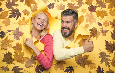 Happy couple, bearded man and blond woman in yellow background with leaves. Joyful couple is happy with the last warm days of autumn. Romantic couple wearing pullover on autumn leaves background.