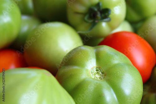 Green and red tomatoes. Harvest from the greenhouse. Close-up. Background. Texture.