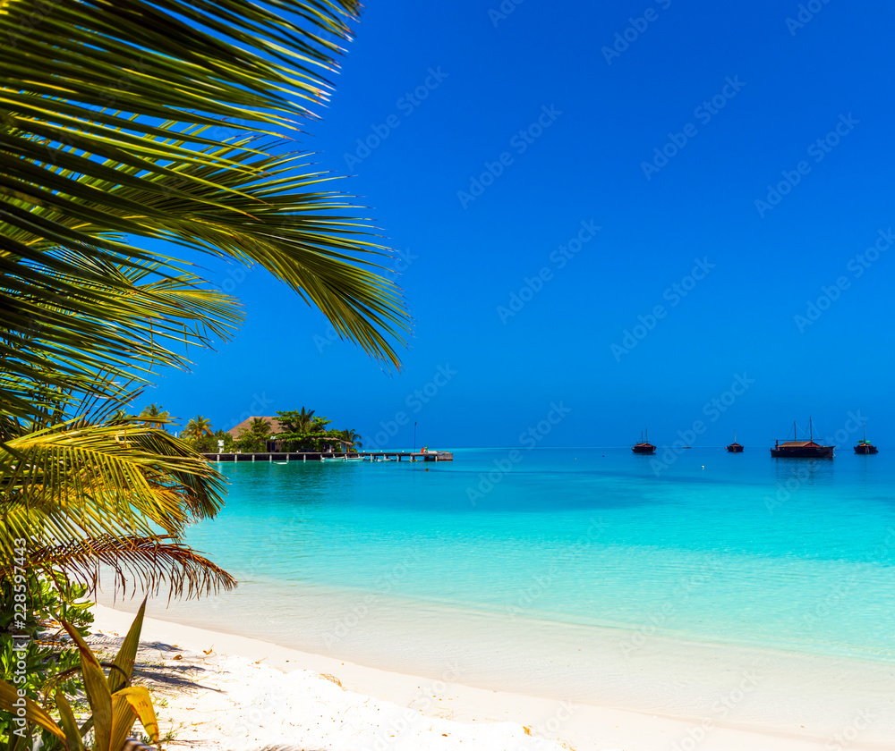 Turquoise ocean with Dhoni boats and a sandy beach, Maldives. Copy space for text.