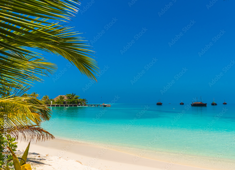 Turquoise ocean with Dhoni boats and sandy beach, Maldives. Copy space for text.