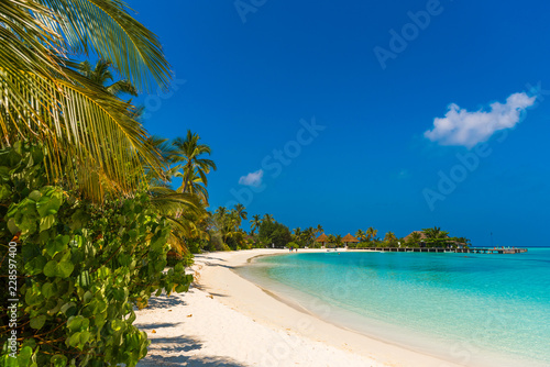 Fototapeta Naklejka Na Ścianę i Meble -  View of the paradise sandy beach, Maldives. Copy space for text.
