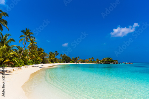View of the paradise sandy beach, Maldives. Copy space for text.