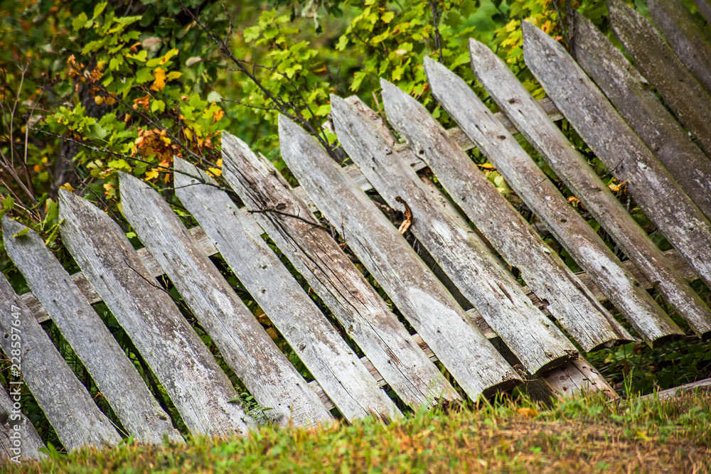 Rustic wooden fence fall is close Rustic wooden fence fall is close