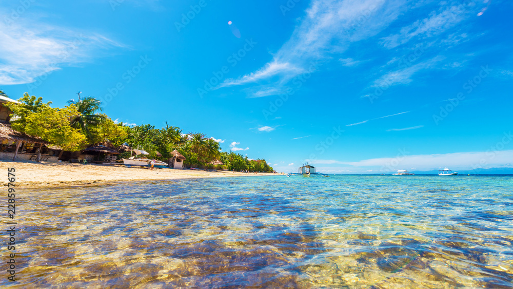 Naklejka premium Crystal clean ocean with coral and a boat in Moalboal, Cebu, Philippines. Copy space for text.