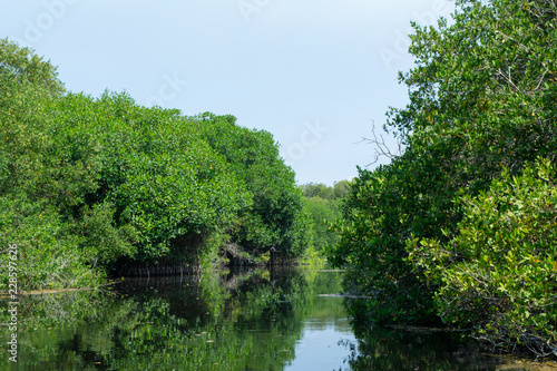 estero el chupadero