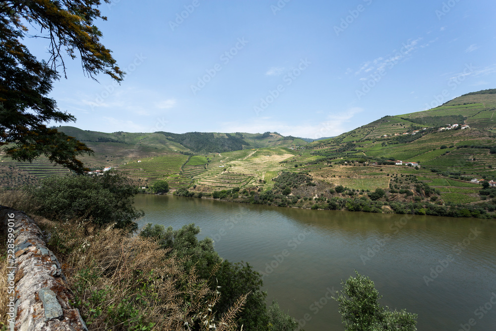 Douro River – Panoramic View