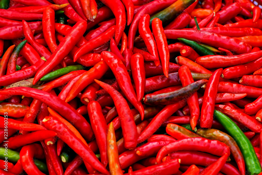Close up fresh red chilli pepper. chilli fior nature background and