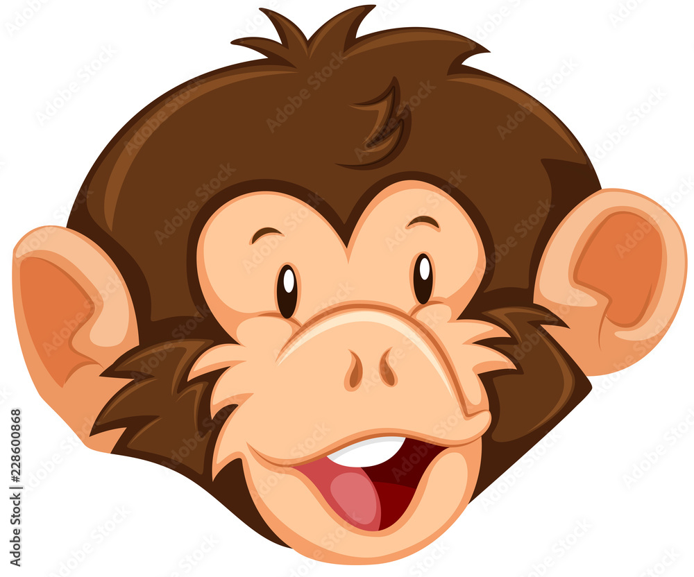 A monkey face on white background A monkey face on white background