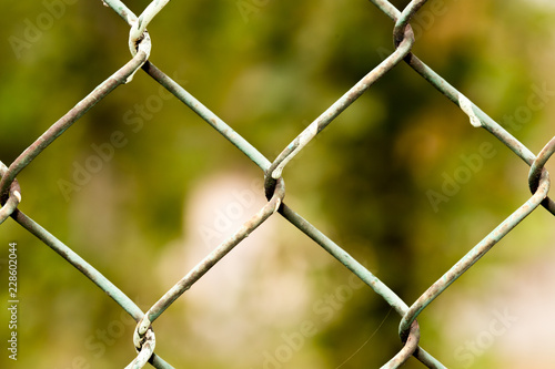 Steel wire mesh fence