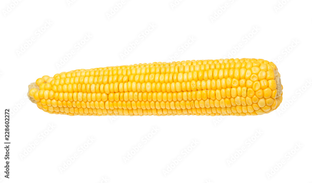 Corn isolated on a white background Corn isolated on a white background
