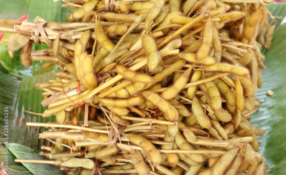 Soybean pods at street food